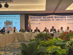 Участие белорусской делегации в Белорусско-Мьянманском бизнес-форуме