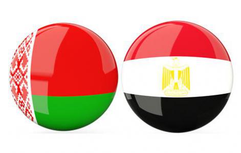 В Египте создана централизованная система электронного документооборота в отношении ввозимых в Египет товаров